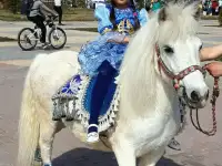 пони на Детский праздник, фотография 7