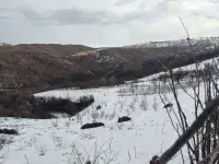 Продам участок Медеуский район, фотография 4