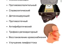 Органы под защитой биоэнергии., фотография 2