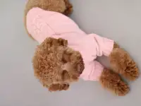 Производитель одежды и аксессуаров для животных TM Dogs Bomba приглашает к сотрудничеству, фотография 4