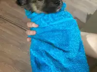 Забери меня к себе, Добрый человек, фотография 7