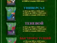 Семена газонных трав. Газон, фотография 10