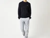 Мужской свитер lacoste