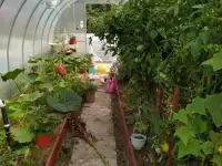 Продаю добротный дом в двух часах от Санкт-Петербурга, фотография 9