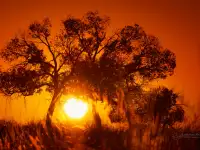 Фото и Видеосъёмка, фотография 11