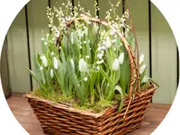 Букет «flora express»