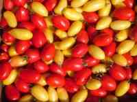 Рассада томатов, фотография 5