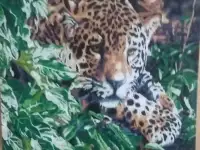 Продаю картинки с стразами, фотография 5