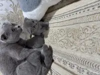 pavlenko100495icloud.com, фотография 5