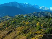 Продам дачу в горах, фотография 8