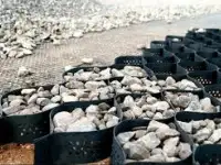 Георешетка объемная, фотография 2