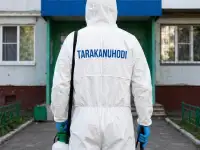 Уничтожение тараканов, клопов, крыс, мышей и прочих вредителей в Усть-Каменогорске. Гарантия, лицензия, фотография 2