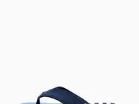 Сланцы t.taccardi, фотография 2