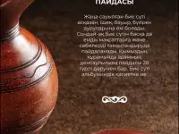 Кумыс натуральный(қымыз), фотография 3