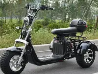 18-дюймовый электрический скутер CityCoco с двигателем 2000 Вт, фотография 6