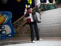 Аккордеонист/Баянист/Музыкант/Ведущий/Артисты/Цыгане, фотография 9