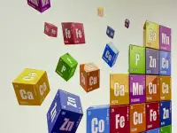 Настенный принтер, фотография 6