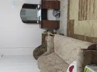 Срочно подам диван и 2кресла, фотография 2