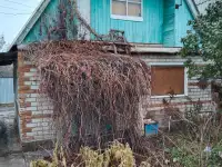 Продается дача 6ситок, фотография 4