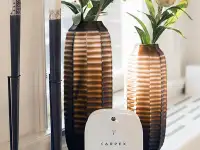 Ароматизатор Carpex окружающий, фотография 12