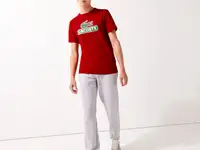 Мужская дышащая футболка lacoste sport