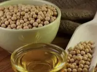 Продажа масла соевого оптом от производителя, фотография 2