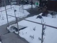 Продам два дома на соседних участках, в черте города, фотография 9