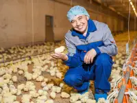 Работа вахтой в РФ! Высокие зарплаты! Бесплатное жилье и питание!, фотография 2