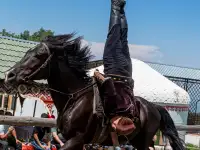 Профессиональная фотосессия, Фотограф Алматы, фотография 2