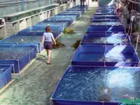 Продам емкости КНС, септики, фотография 5