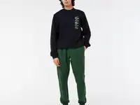 Мужские брюки lacoste