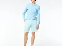 Мужские шорты lacoste slim fit
