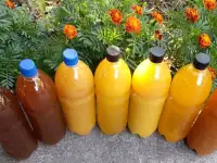 Мед пчелиный, натуральный, 2025 года.