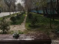 Продам любимую 1 комнатную квартиру в связи с расширением, фотография 11