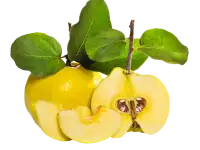 Японская красавица