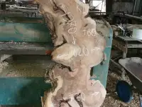 Слэбы от производителя из дуба, шпальтового бука, капового тополя, вербы, капового карагача, ясеня., фотография 2