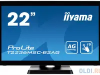 Монитор iiyama 21.5" prolite t2236msc-b2ag черный va led 16:9 dvi hdmi
