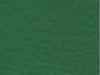 Спортивный линолеум Forbo Sportline Standart 4.3 мм, фотография 2