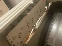 Ремонт стиральных машин в Астане (Нур-Султан) на дому от 3000 тенге! Частный мастер, фотография 5