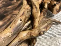 Кашпо из настоящего дерева, фотография 2