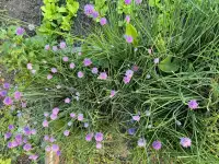 Прлдам или меняю дом в с.Мартук, фотография 9