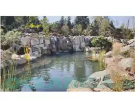 Строительство прудов, фотография 4