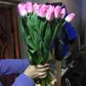 Тюльпаны оптом к 8 марта, фотография 4