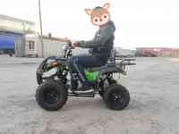 Квадроциклы 50,110,125,250сс, фотография 10