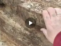 Продажа, фотография 2