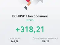 Ищу инвестора для трейдингкриптовалюта, фотография 10