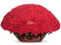 Букет «flora express»