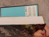 Гарри Поттер 