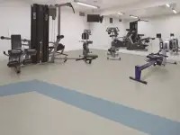 Спортивный коммерческий линолеум. Линолеум для тренажерных и спортивных помещений, линолеум для спортзалов интерьерный, фотография 3