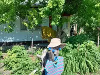 ПРОДАМ ДОМ В ДАЧНОМ КООПЕРАТИВЕ ТАМАРИКС зимний вариант, фотография 4